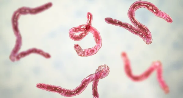 Got any Parasites?